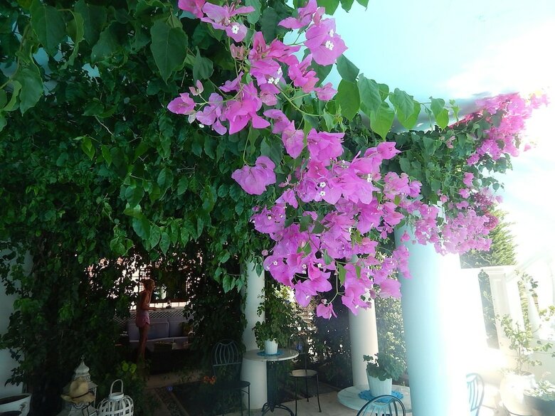 Peggy's Villa