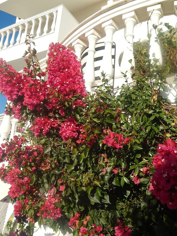 Peggy's Villa