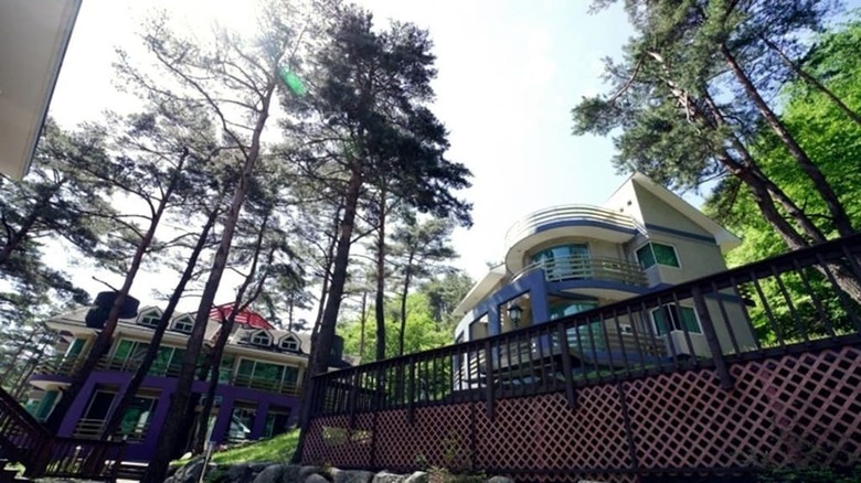 Royaltree Pension