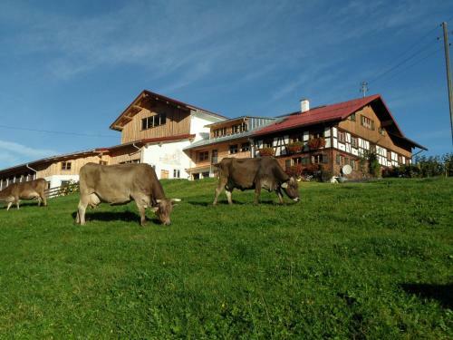 Apartamento Bio-bergbauernhof J�ck