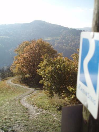 Apartamento Weingut Theodor Nies