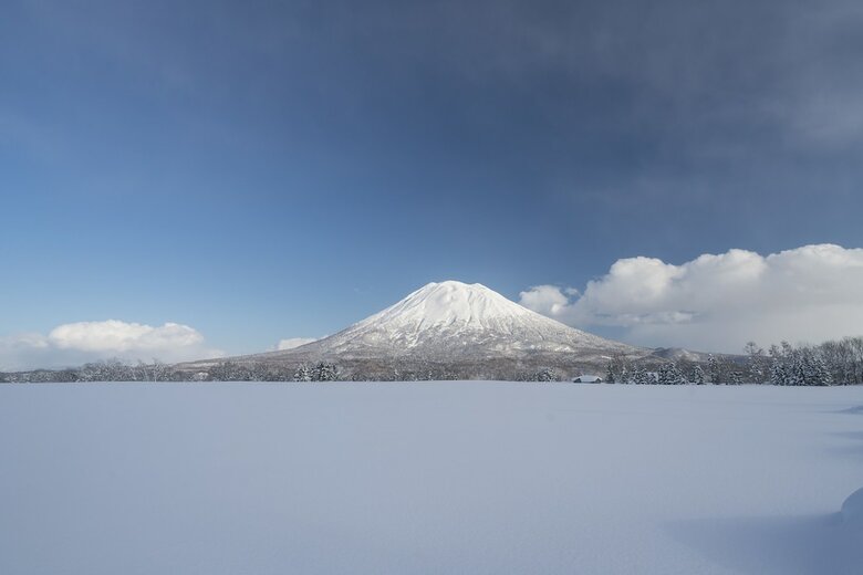 Hotel Nest At The Trees, Niseko