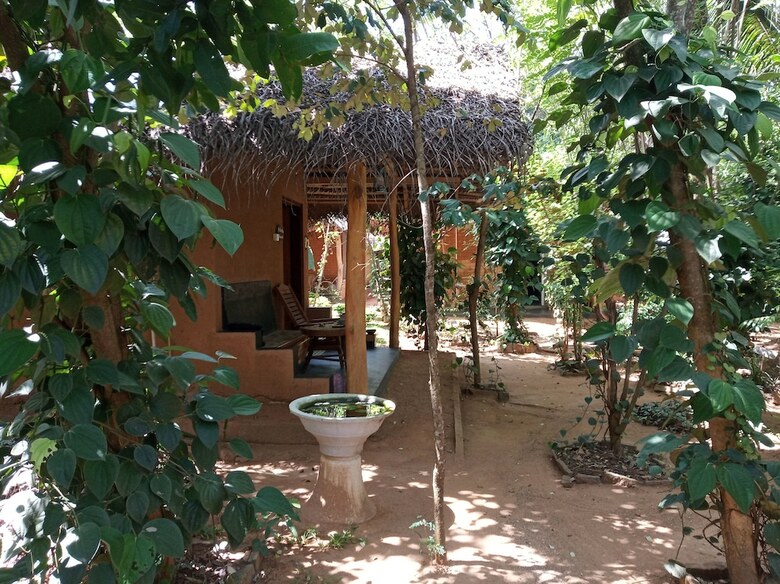Apartamentos Sandalwood Cottage