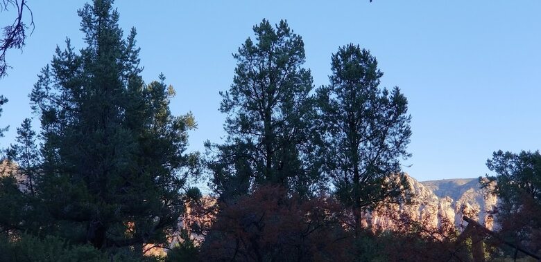 Bed & Breakfast The Sedona Dream Maker