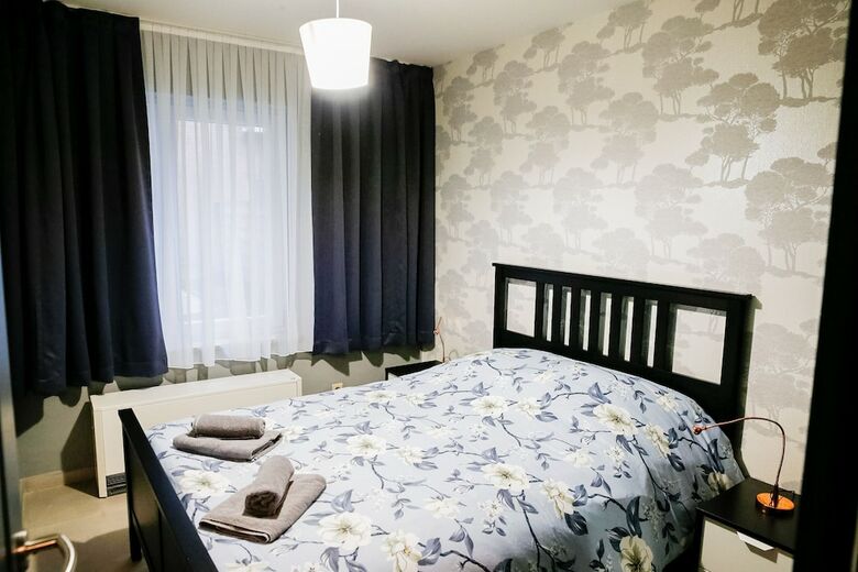 Renovated Apartment In Antwerp