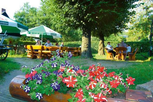 Dammschenke Gasthof & Hotel