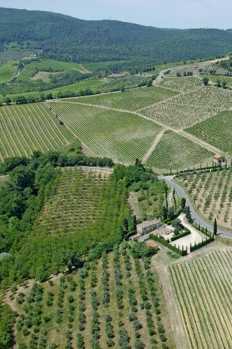Bed & Breakfast Rocca Degli Olivi