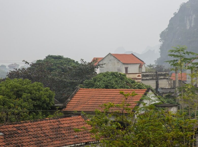 Hotel Tam Coc Palm House