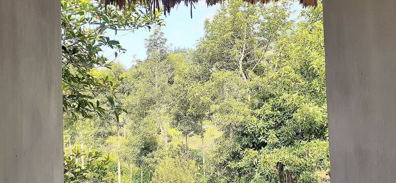 Bed & Breakfast Sa House Bac Ha