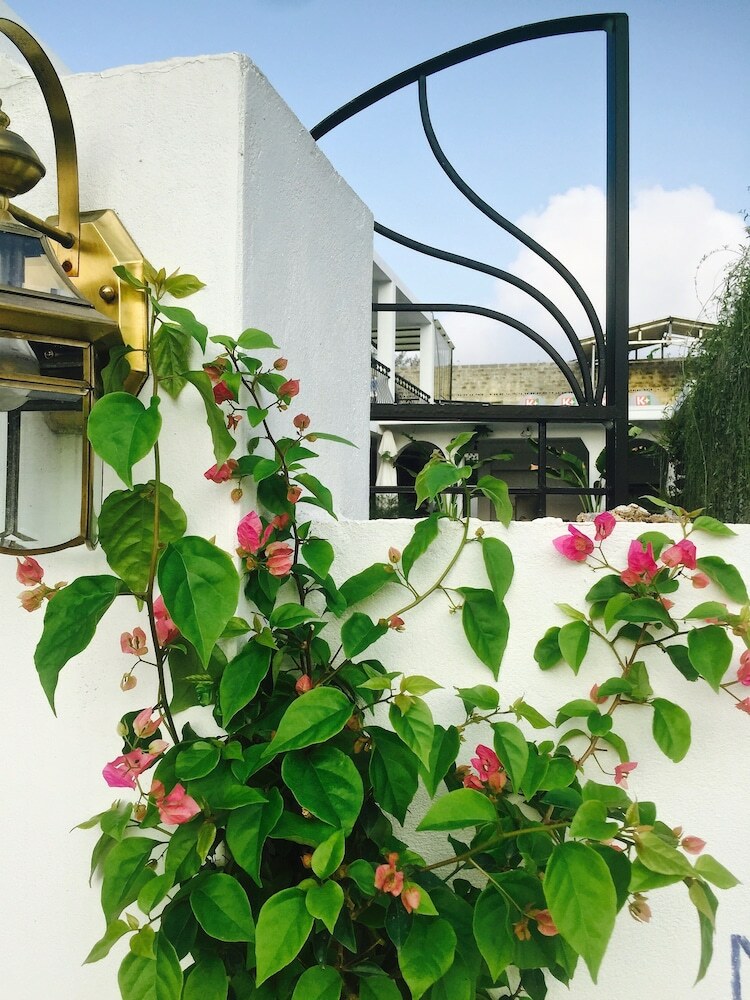 Hotel Coto Eco Lodge