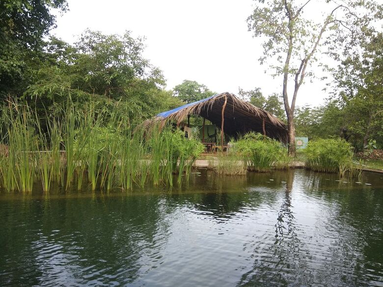 Dudhsagar Plantation