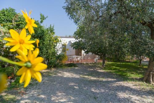 Apartamento L'agrumeto