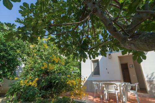 Apartamento L'agrumeto