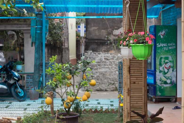 Hotel Tam Coc Moonlight Bungalow