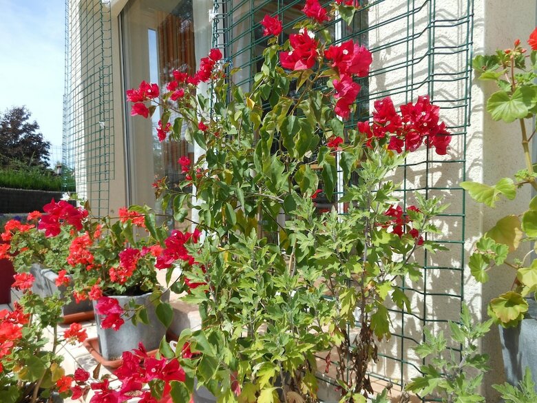 Bed & Breakfast Au Soleil D'albi