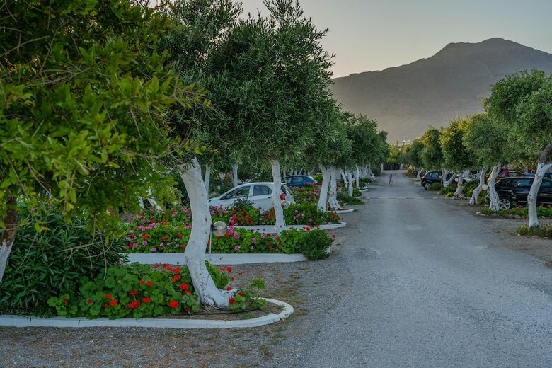 Apartamentos Paradisos