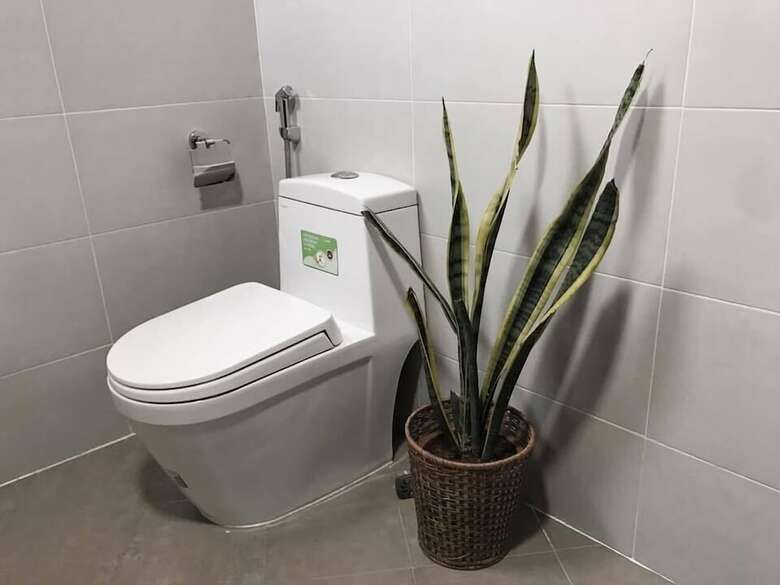 Apartamentos Annie Resident