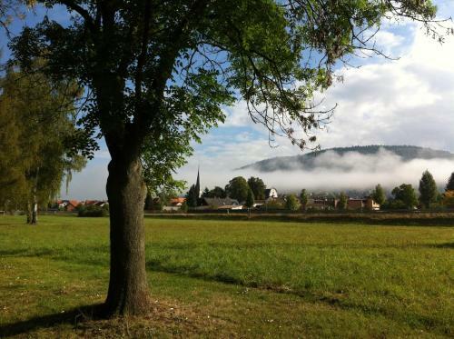Hostal Gasthof Centgraf