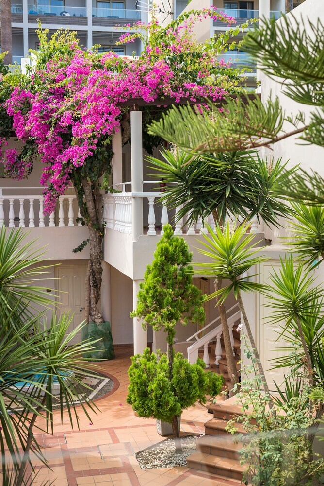 Aparthotel Elotis Suites