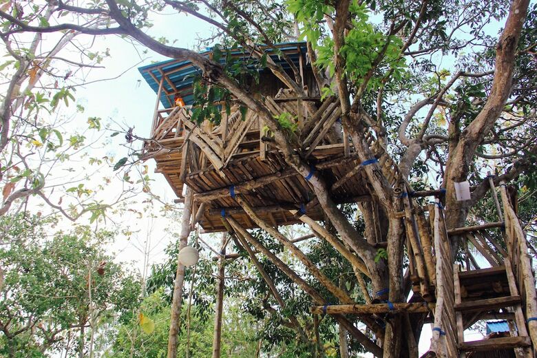 Bed & Breakfast Nyuh Bengkok Tree House