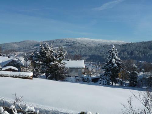 Hostal G�stehaus Am Berg