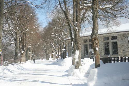 Hostal G�stehaus Am Berg