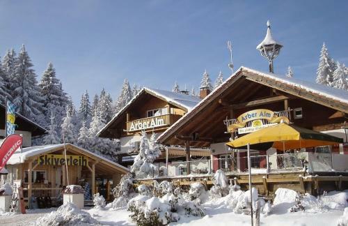 Apartamento Arber Alm