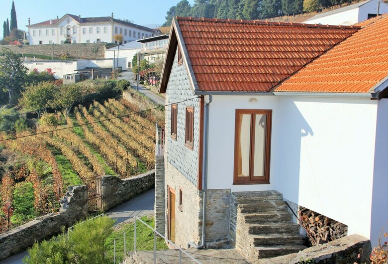 Holiday Villa In Douro Valley - Unesco Heritage