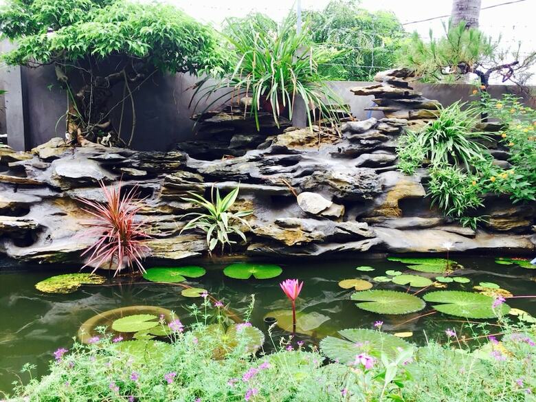 Hostal Ha Long Ginger Homestay - Hostel
