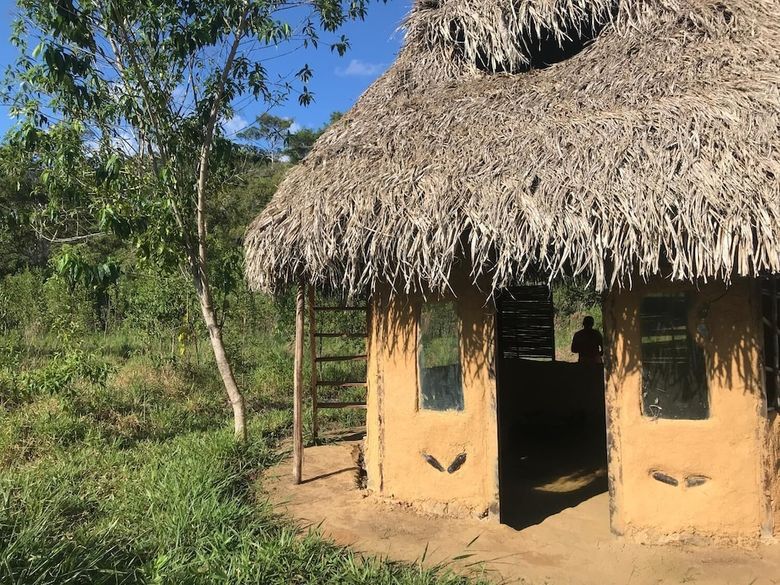 Ayahuaska