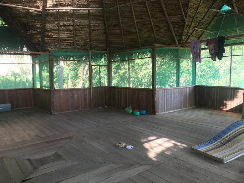 Ayahuaska
