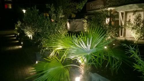 Hostal Pension Sonneneck