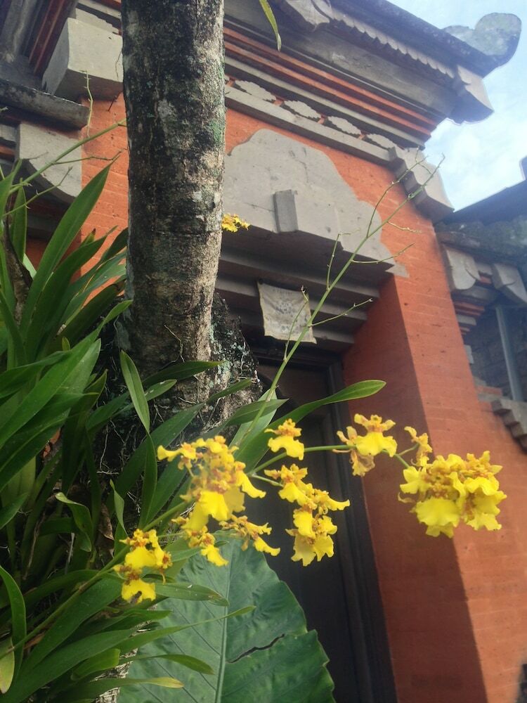Hotel Wina Ubud B&B