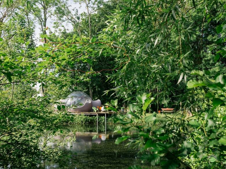 Bed & Breakfast Les Aires En Sc�nes