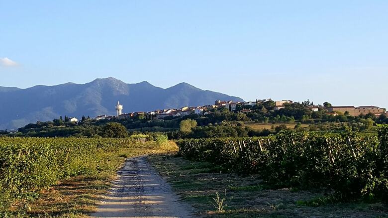 Gite Mas Natura