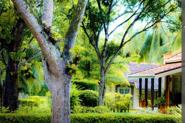 The Tamarind Tree Hotel