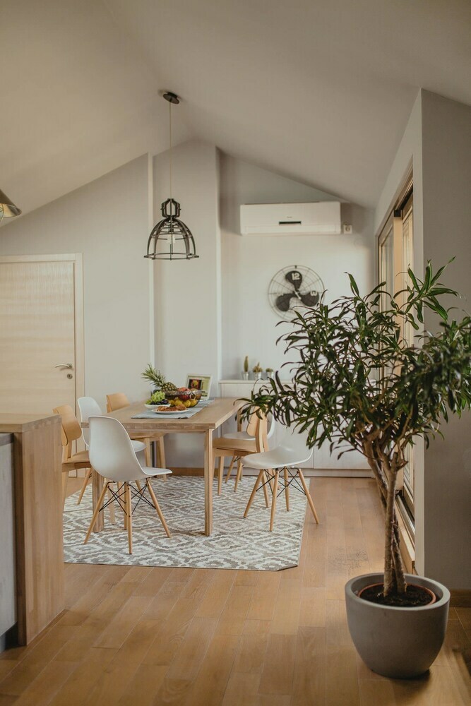 Apartments Dimitris III