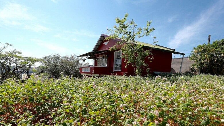 Hotel Sol House Dalat Homestay