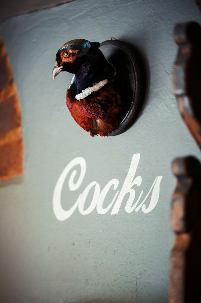 Posada The Pheasant