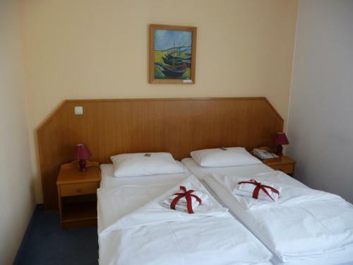 Hotel Mecklenburger M�hle Garni