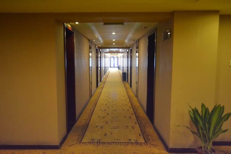 Longmen Peony Xinyudong Hotel