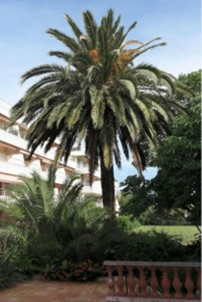 Apartamento Studio In Saint-tropez, With Pool Access - 800 M From The Beach