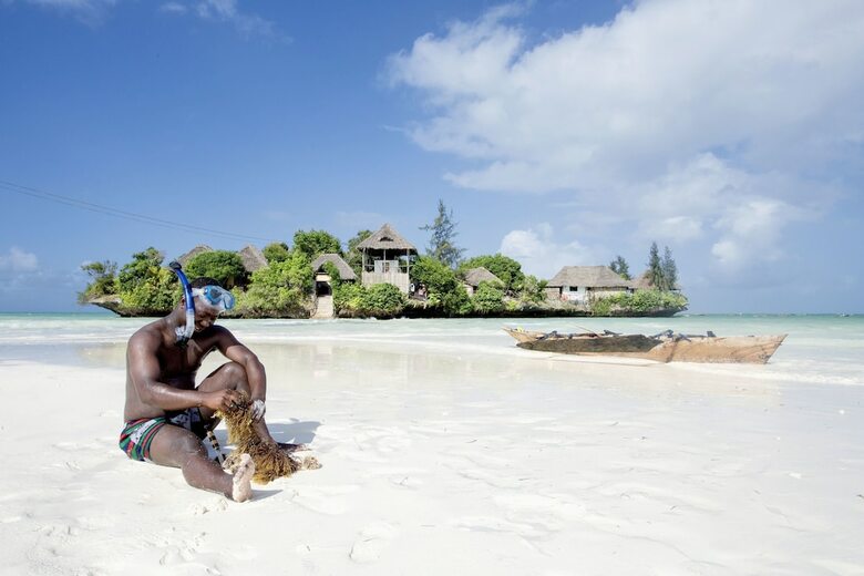 Posada The Island - Pongwe Lodge - Adults Only