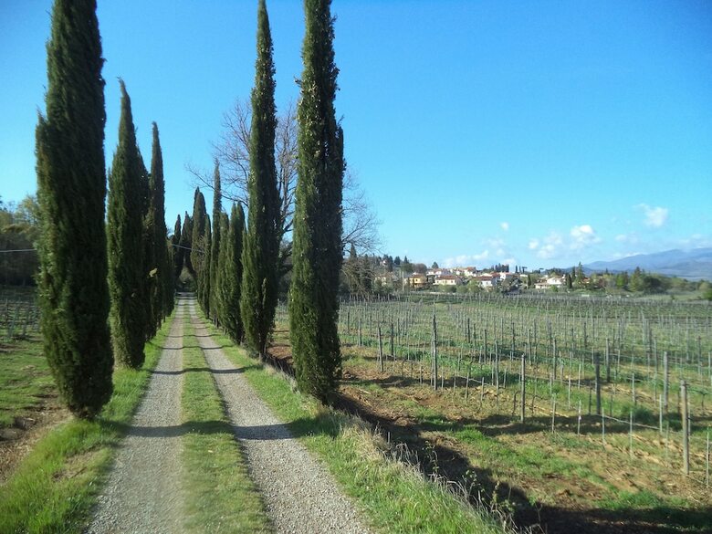 Agroturismo Villa Albergotti