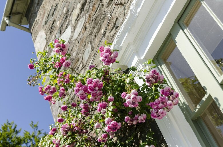 Hotel The Eltermere Inn