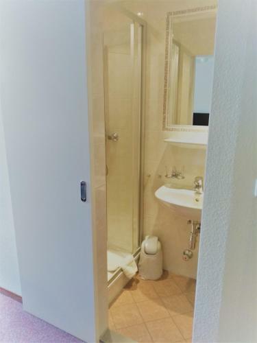 Hostal Hotel Pension Lindenhof