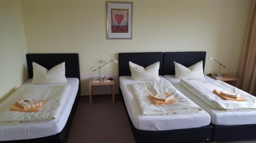 Hostal Hotel Br�ckentor