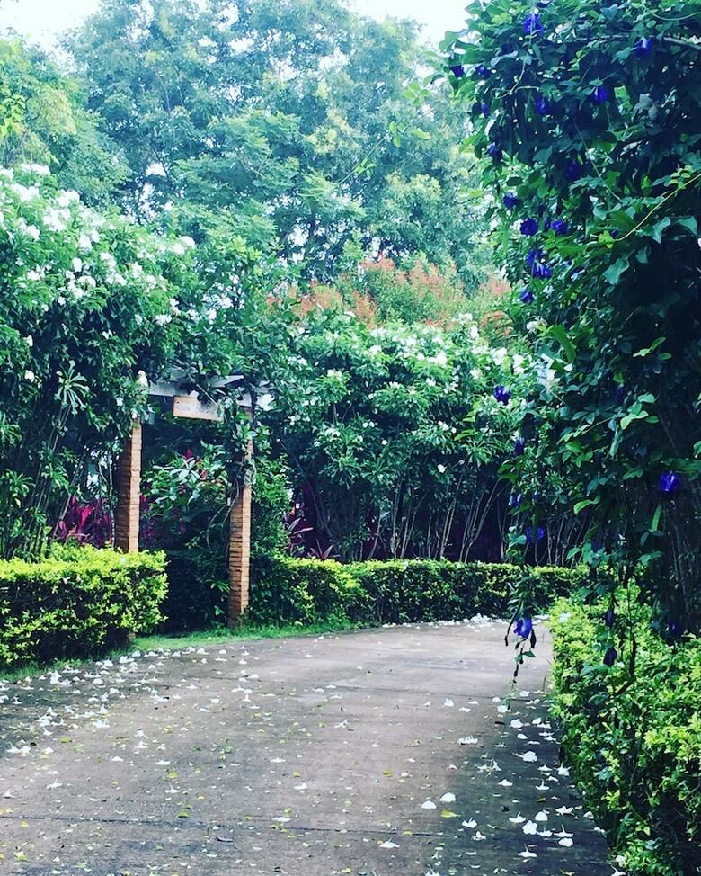 Hotel Khaoyai Nature Retreat