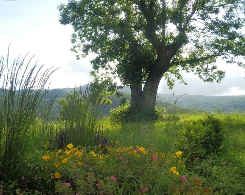 Agroturismo Podere Di Maggio