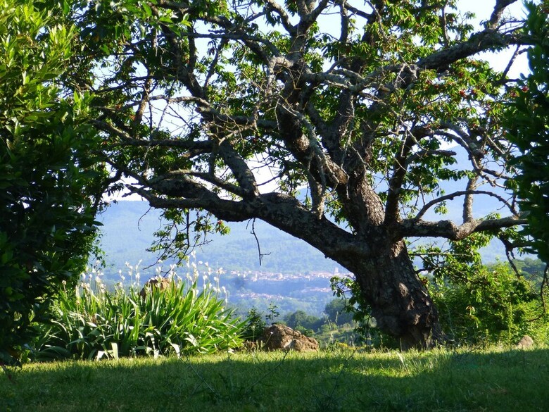 Agroturismo Podere Di Maggio